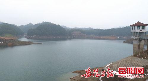 团湖水库爆料视频播放,水域生态现状与治理进展