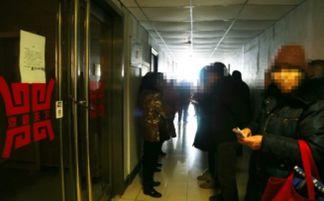 周口老人爆料事件视频,揭秘惊人真相，视频引发社会热议