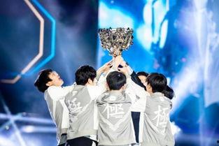 娱乐圈爆料解说,揭秘明星背后的故事与真相