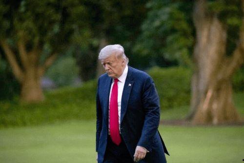 特朗普后院爆料视频,揭秘总统日常