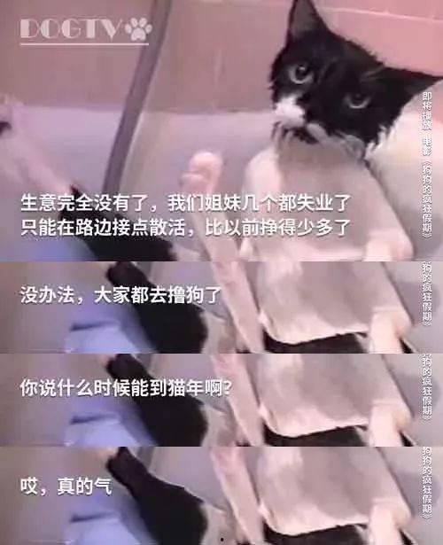小狗情人爆料视频大全,视频大全揭秘萌宠生活点滴