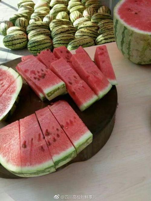 学学网红们怎么吃瓜,揭秘网络热点背后的真相与趣味