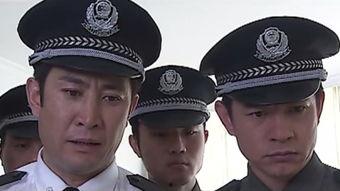 局长 在线观看,在线揭秘权力巅峰