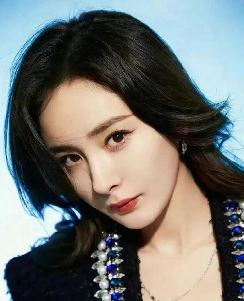 娱乐圈明星小爆料是谁