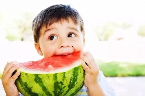 吃瓜退网的网红是谁,从网络红人到退隐江湖的传奇人生