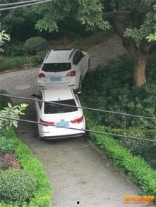 奉节生活网最新爆料,揭秘奉节最新热点事件！