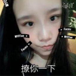 爆料女友视频大全下载软件,视频大全下载软件深度解析