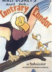 condor在线观看,云端探险之旅，尽享在线观影新体验